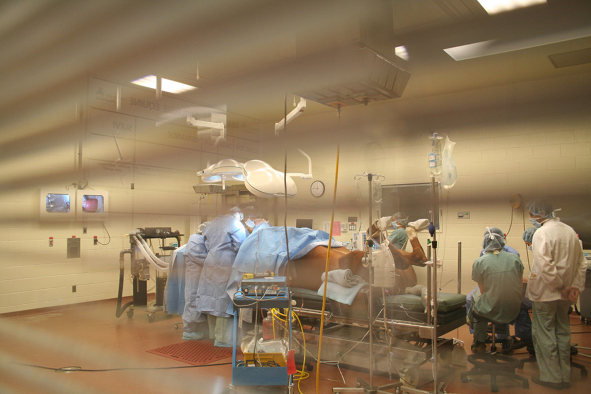 SaintHyacinthe Université de Montréal