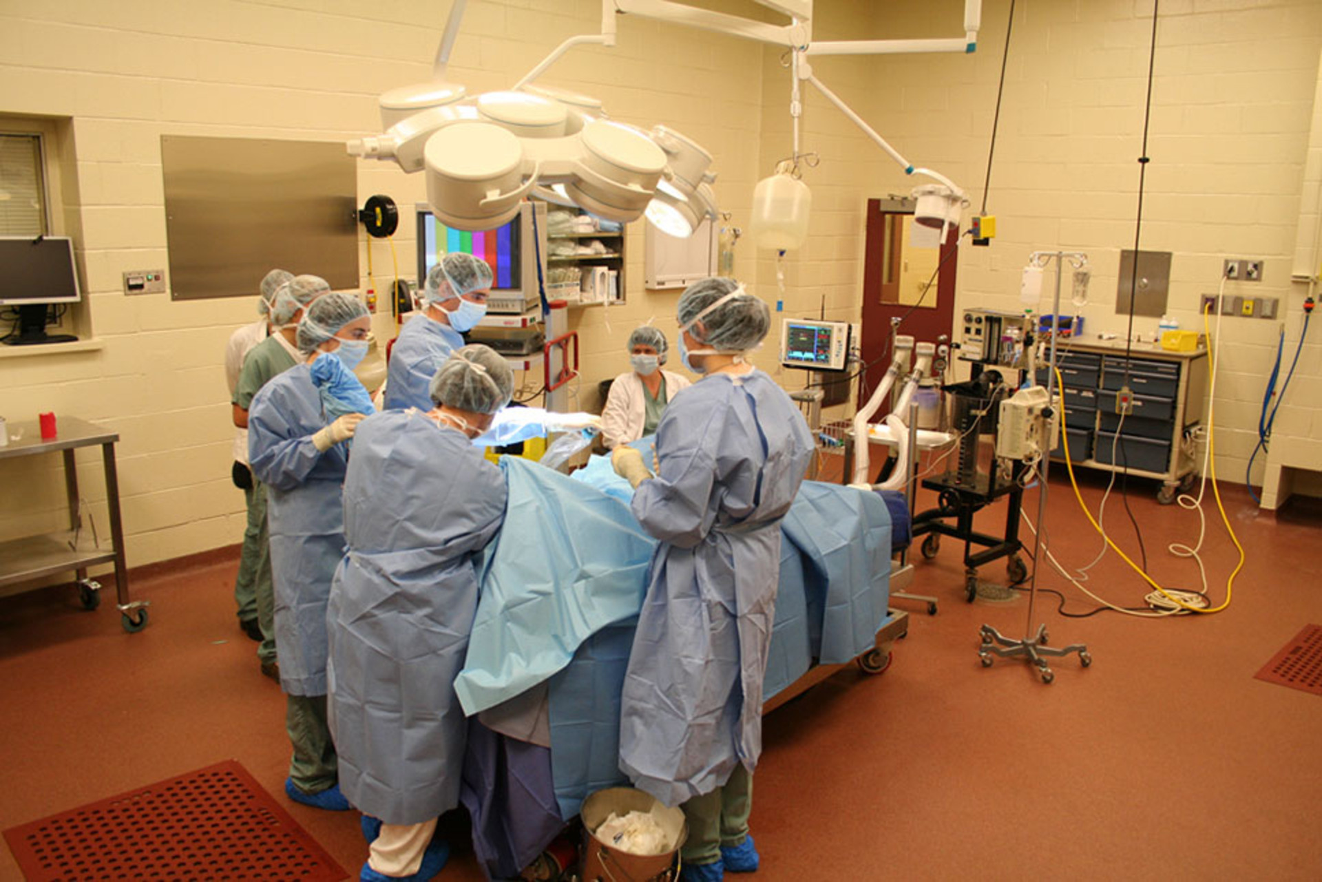 SaintHyacinthe campus / Université de Montréal