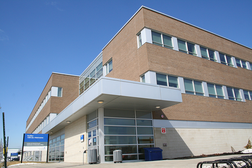 SaintHyacinthe Université de Montréal