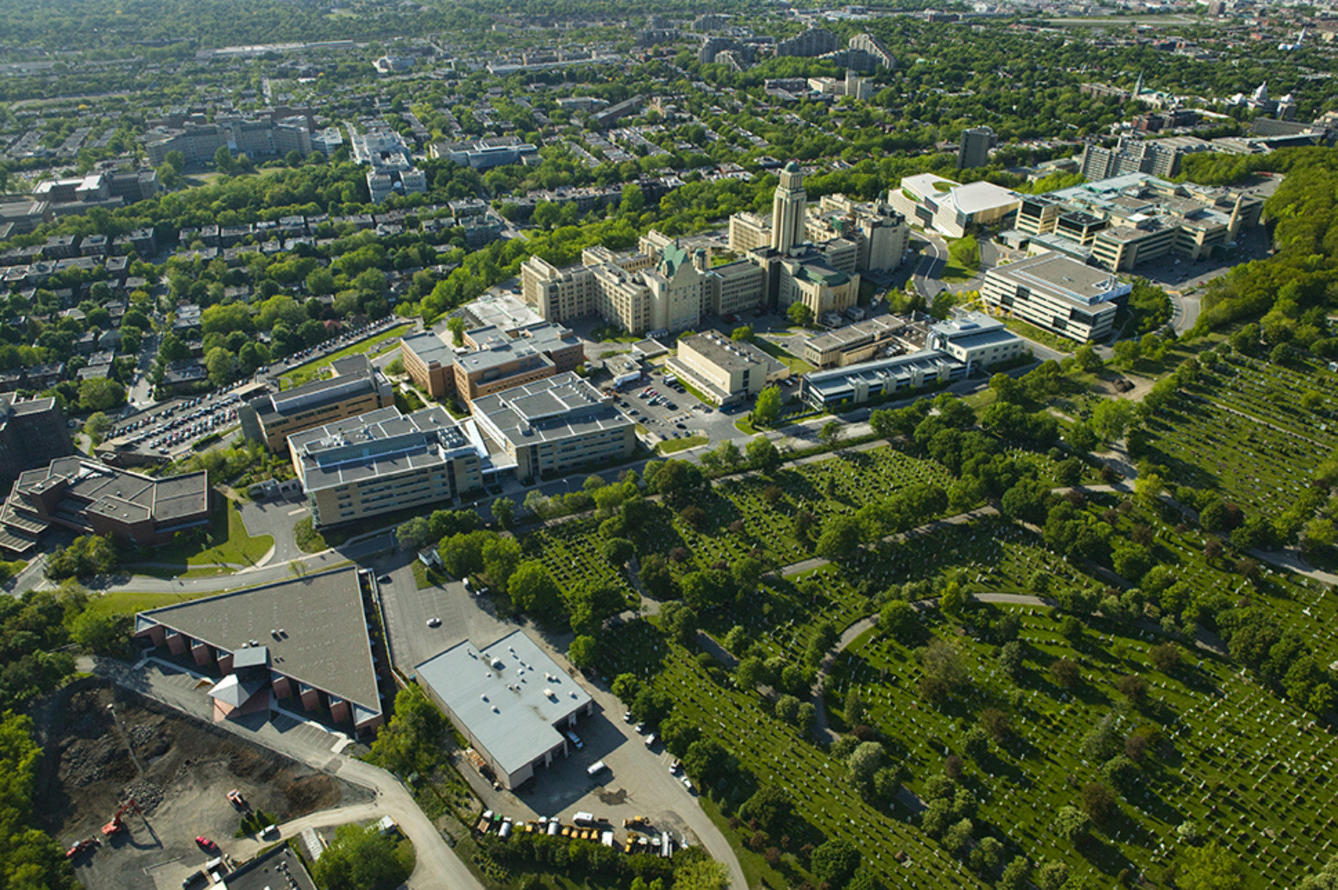 phd university of montreal